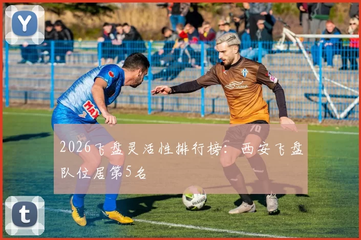 2026飞盘灵活性排行榜：西安飞盘队位居第5名