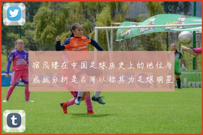 宿茂臻在中国足球历史上的地位与成就分析是否可以称其为足球明星