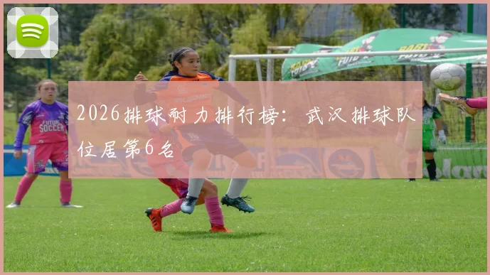2026排球耐力排行榜：武汉排球队位居第6名