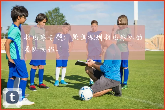 羽毛球专题：聚焦深圳羽毛球队的团队协作_1