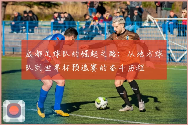 成都足球队的崛起之路：从地方球队到世界杯预选赛的奋斗历程