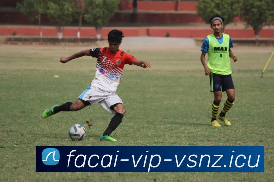 开云体育全站App